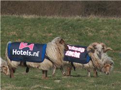 http://www.journaldunet.com/management/marketing/dossier/guerilla-marketing/sheep-3.jpg